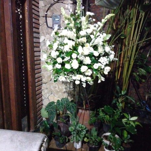 WhatsApp Image 2023-07-17 at 15.59.48